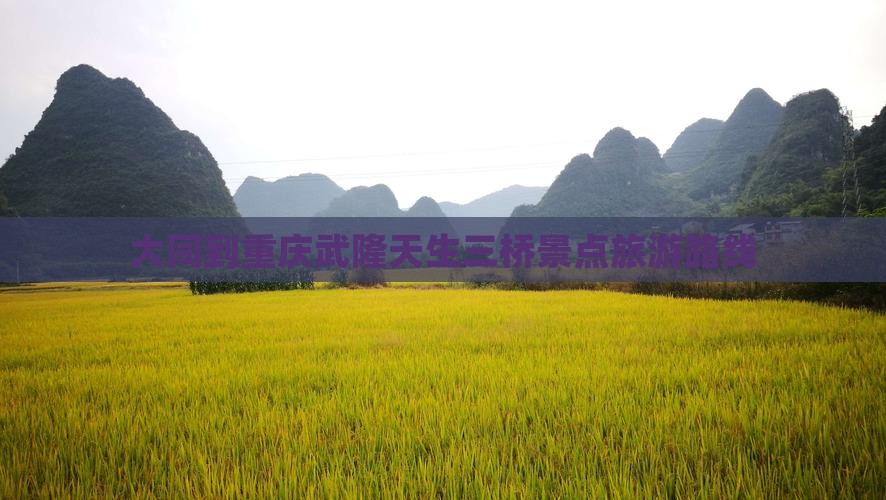 大同到重庆武隆天生三桥旅行社