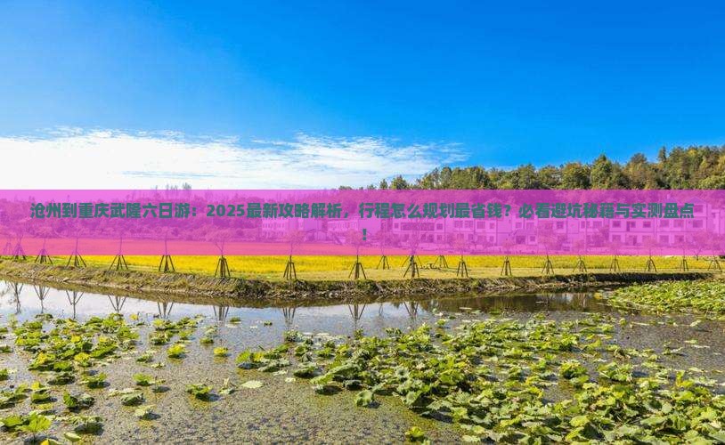 沧州到重庆武隆六日游