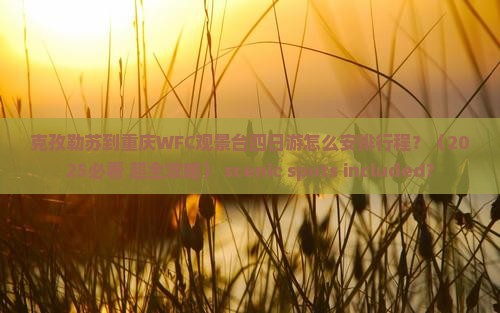 克孜勒苏去重庆wfc观景台四日游
