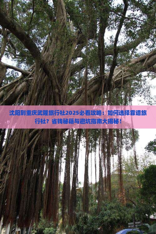 沈阳到重庆武隆旅行社