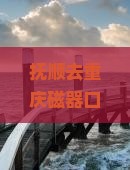 抚顺去重庆磁器口四日游