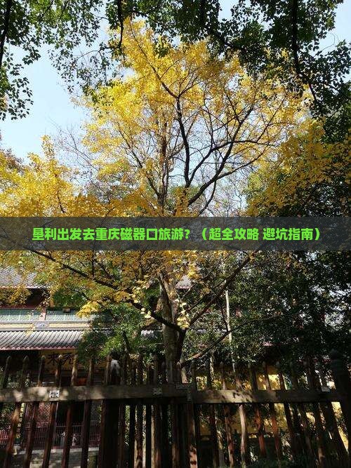 垦利到重庆磁器口旅游