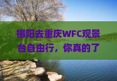 揭阳去重庆wfc观景台自由行