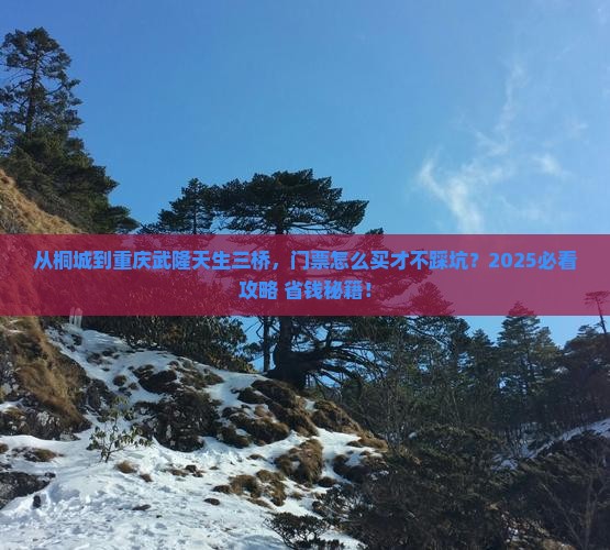 桐城到重庆武隆天生三桥门票
