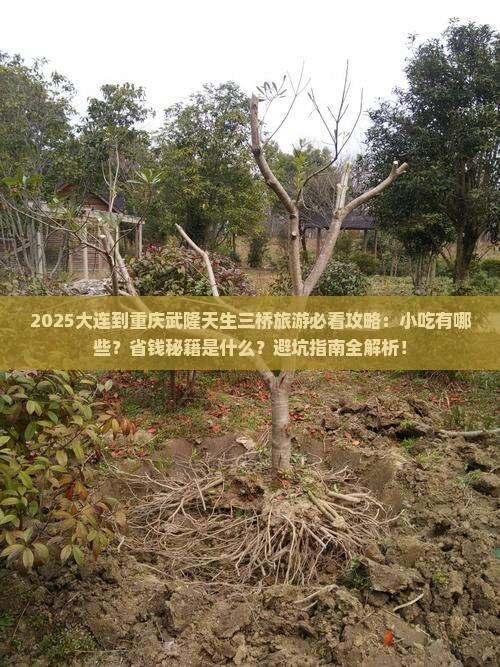 大连到重庆武隆天生三桥旅游小吃