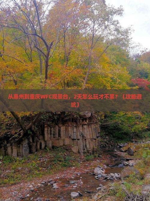惠州去重庆wfc观景台二日游