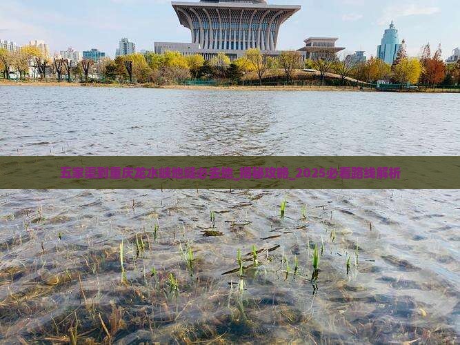 五家渠到重庆龙水峡地缝必去地