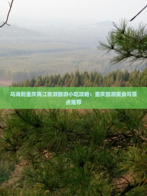 乌海到重庆两江夜游旅游小吃