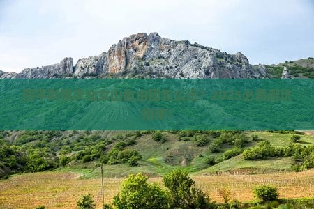 四平到重庆仙女山自由团