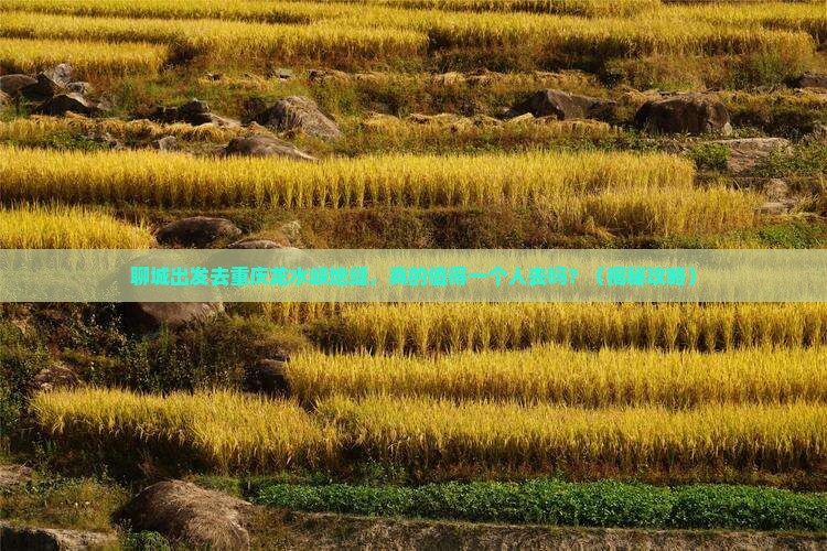 聊城去重庆龙水峡地缝个人游