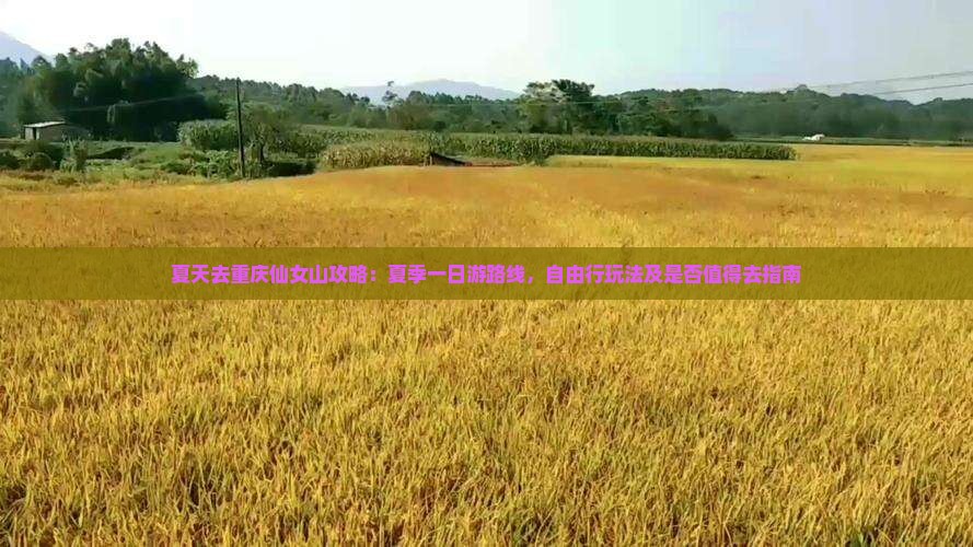 夏天去重庆仙女山攻略