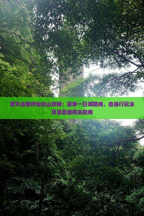 夏天去重庆仙女山攻略