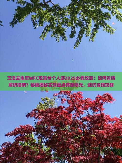 玉溪去重庆wfc观景台个人游