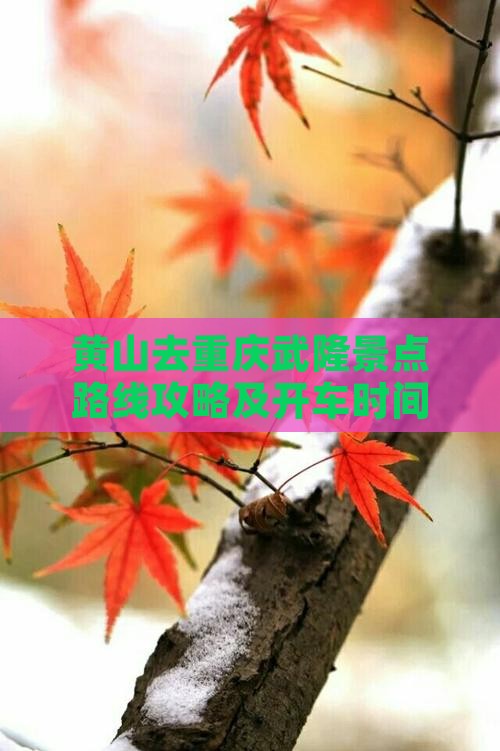 黄山去重庆武隆景点