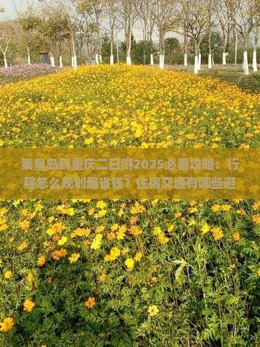 秦皇岛到重庆二日游