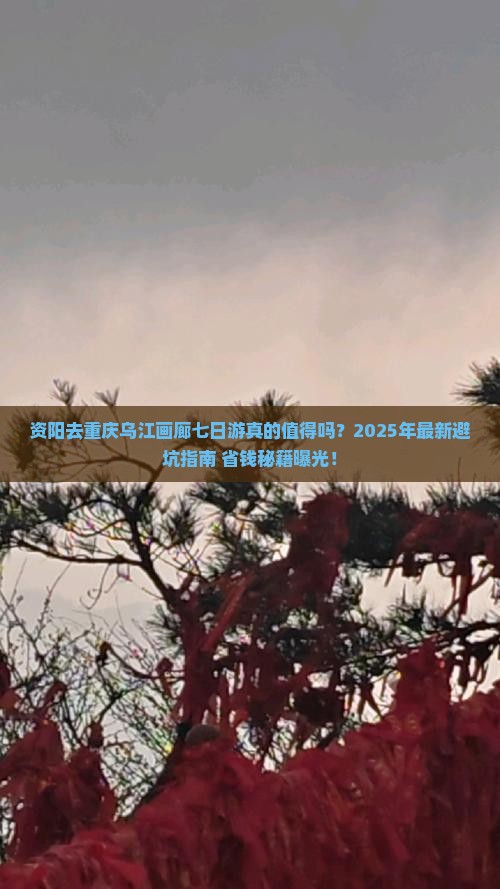 资阳去重庆乌江画廊七日游