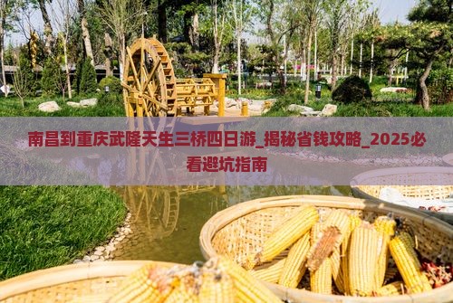 南昌到重庆武隆天生三桥四日游