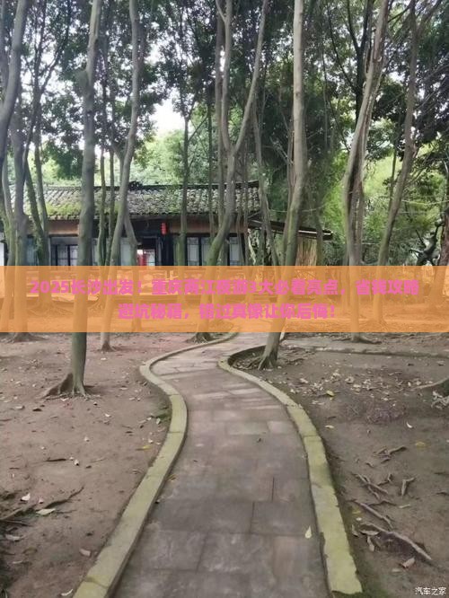 长沙去重庆两江夜游旅游