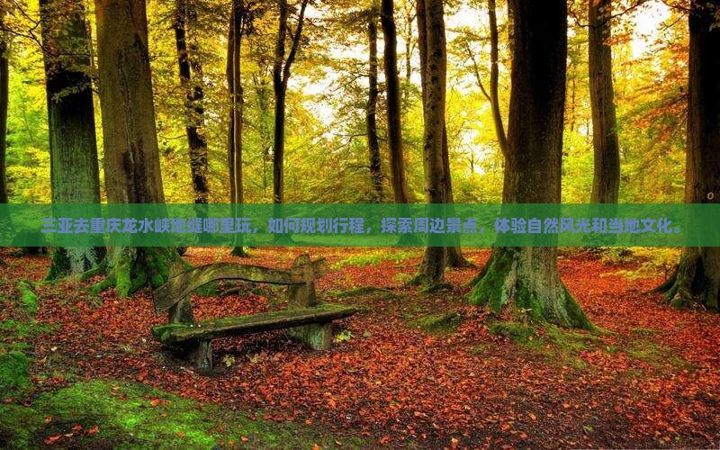 三亚去重庆龙水峡地缝哪里玩