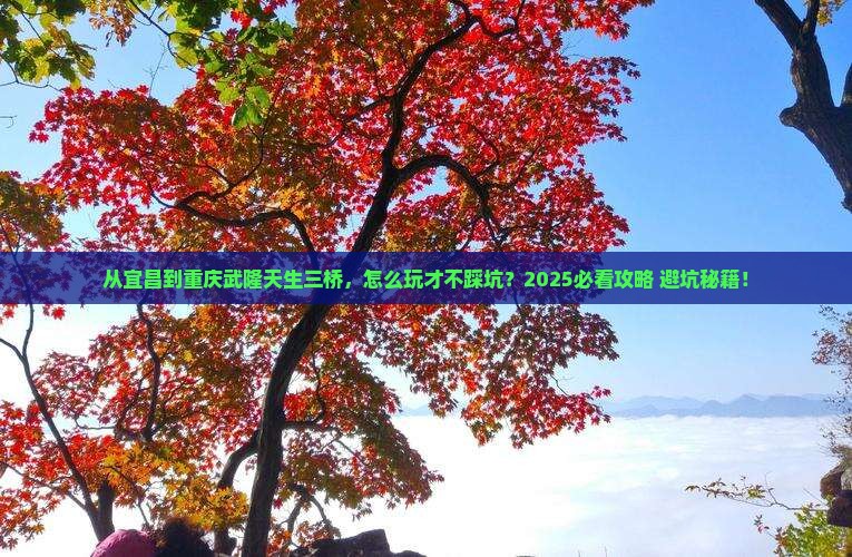 宜昌去重庆武隆天生三桥景点
