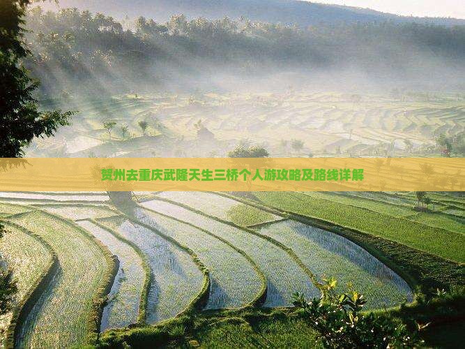 贺州去重庆武隆天生三桥个人游
