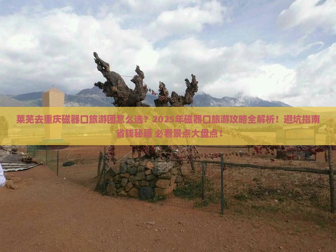 莱芜去重庆磁器口大型旅游团