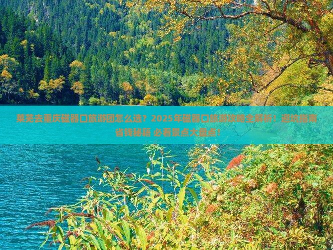 莱芜去重庆磁器口大型旅游团