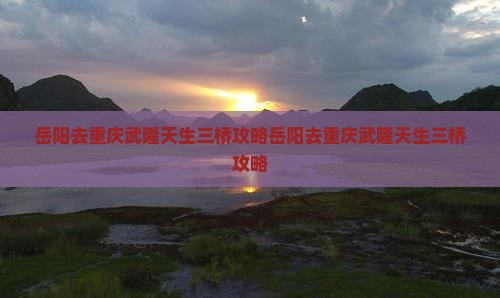 岳阳去重庆武隆天生三桥攻略