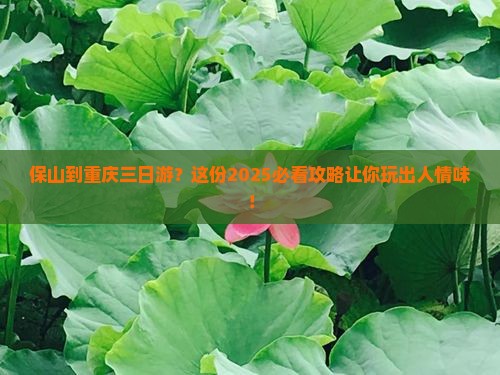 保山到重庆三日游