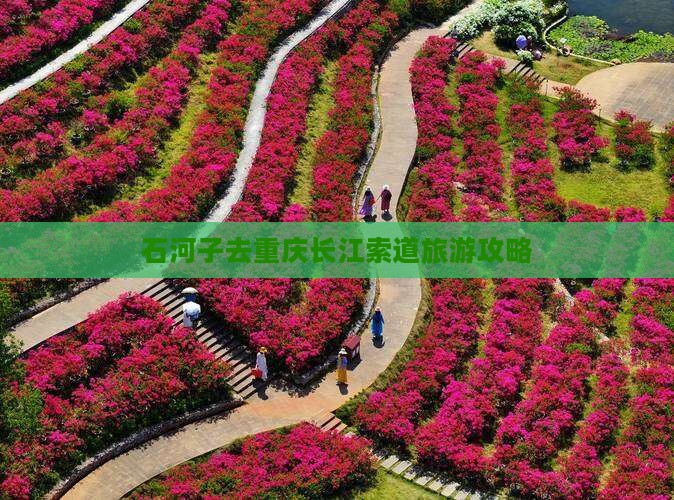 石河子去重庆长江索道自由行