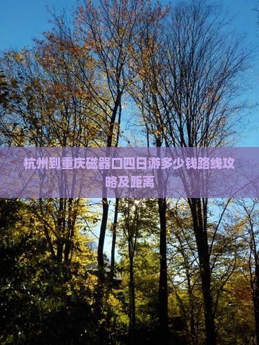 杭州到重庆磁器口四日游