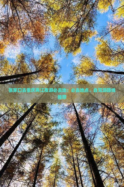 张家口去重庆两江夜游必去地
