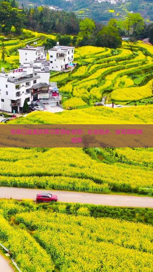 张家口去重庆两江夜游必去地