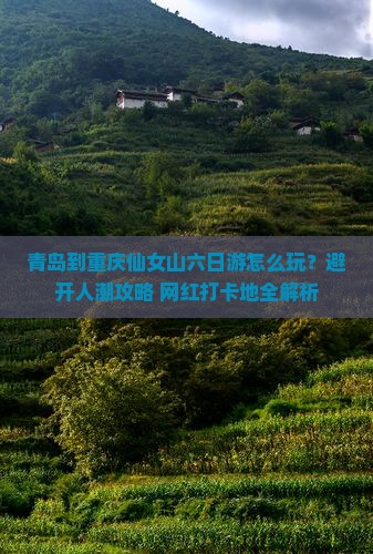 青岛到重庆仙女山六日游