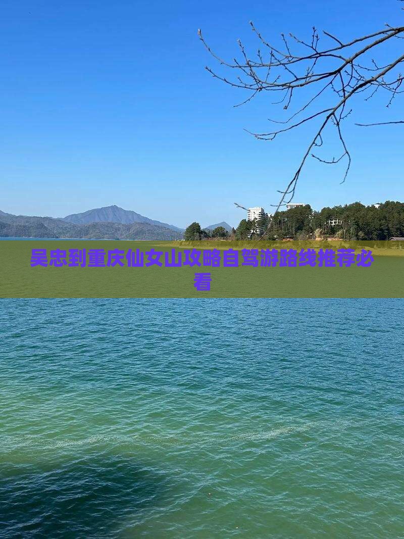 吴忠到重庆仙女山攻略