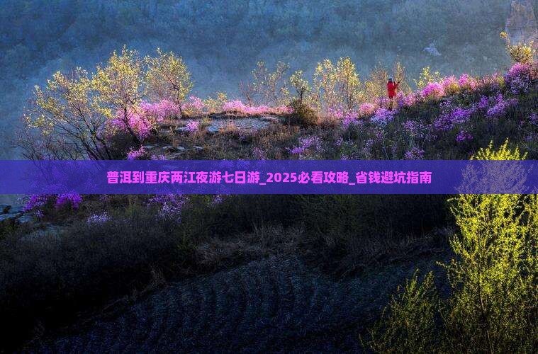 普洱到重庆两江夜游七日游