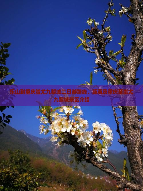 乐山到重庆蚩尤九黎城二日游