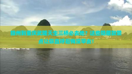 赣州到重庆武隆天生三桥必去地