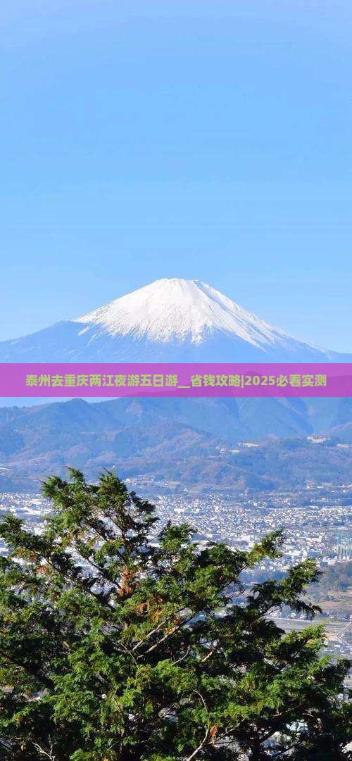 泰州去重庆两江夜游五日游