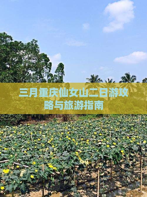 三月到重庆仙女山二日游