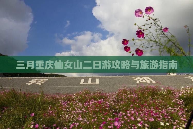 三月到重庆仙女山二日游