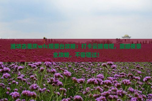 潍坊去重庆wfc观景台攻略