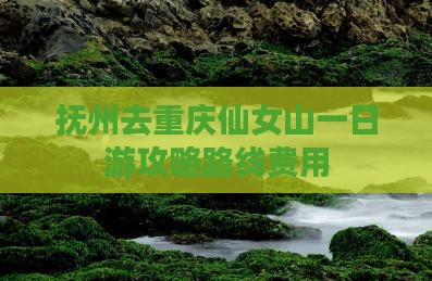 抚州去重庆仙女山一日 抚州去重庆仙女山一日