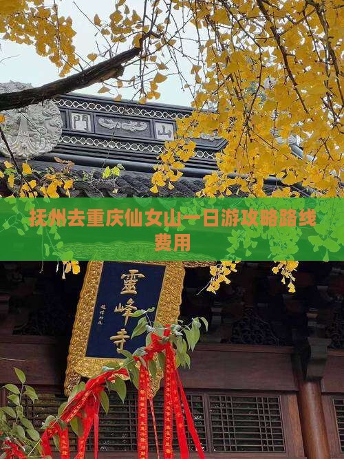 抚州去重庆仙女山一日 抚州去重庆仙女山一日