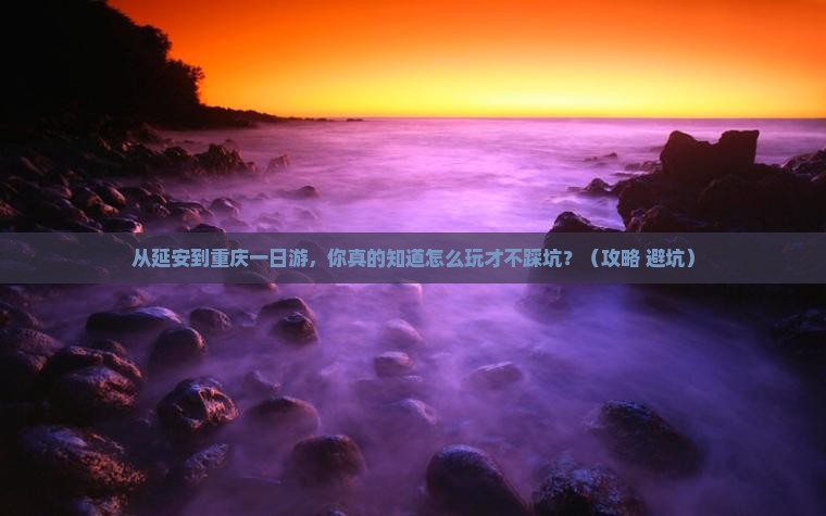 延安到重庆一日
