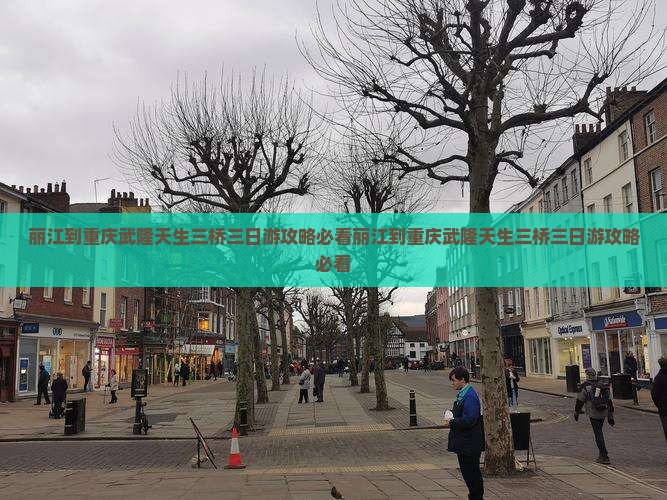 丽江到重庆武隆天生三桥三日游 丽江到重庆武隆天生三桥三日游