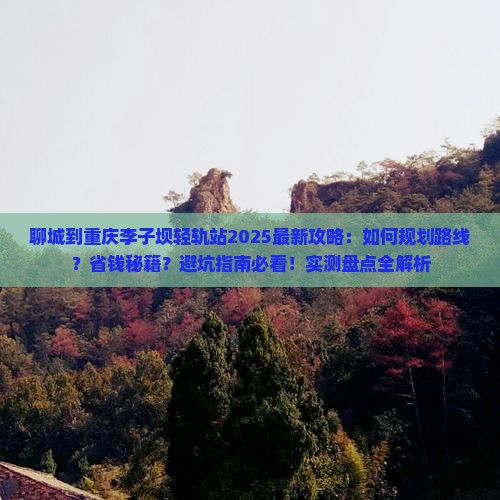 聊城到重庆李子坝轻轨站攻略