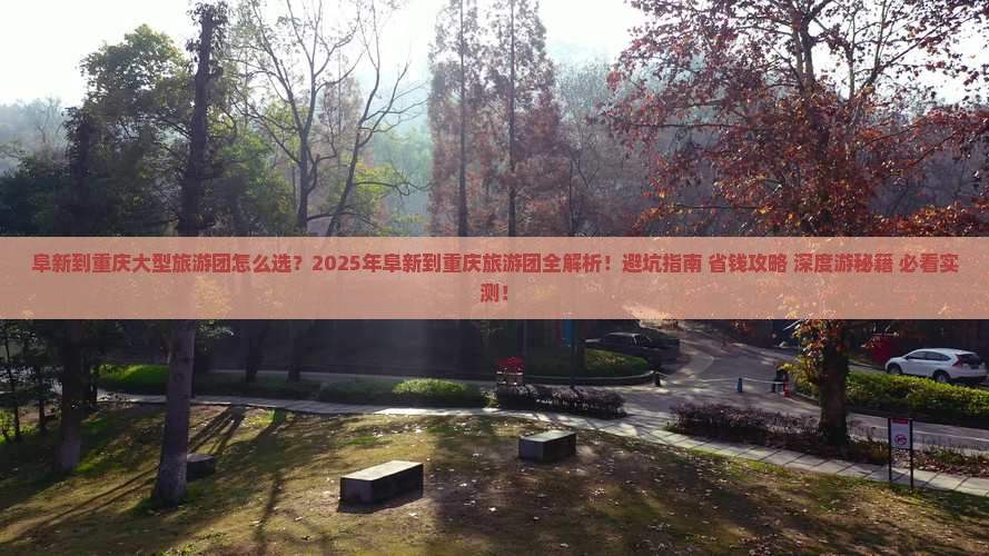阜新到重庆大型旅游团