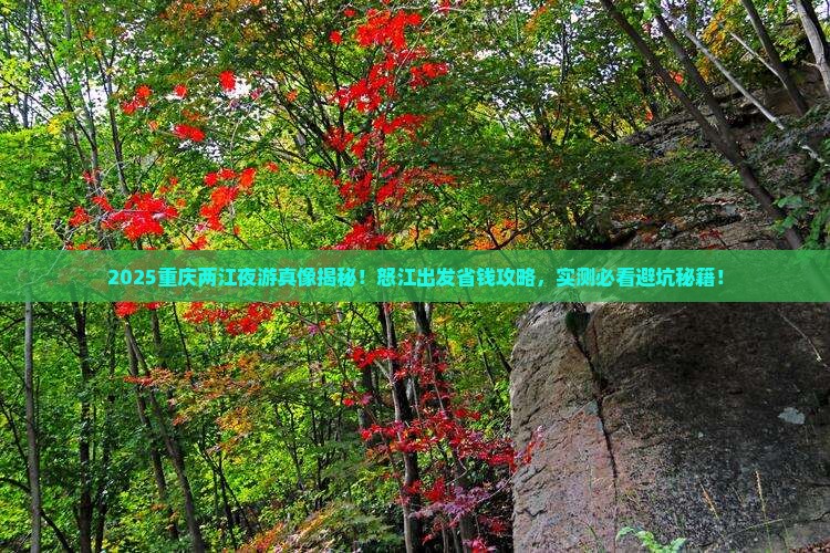 怒江去重庆两江夜游门票