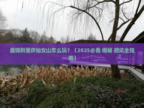 盘锦到重庆仙女山攻略